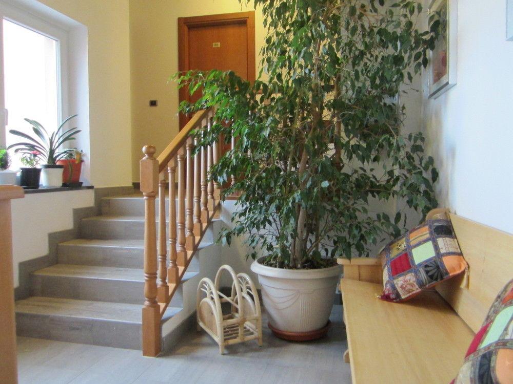 Albergo La Veranda Tavarone Esterno foto